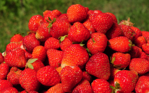 499098 (a): :2560x1600